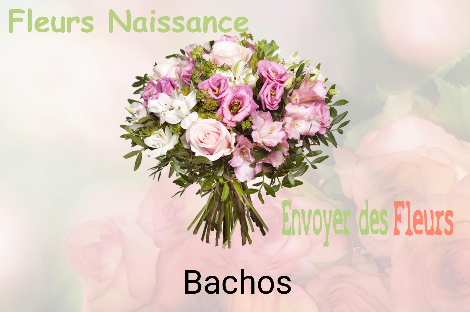 Bouquet de fleurs de naissance livré à Bachos