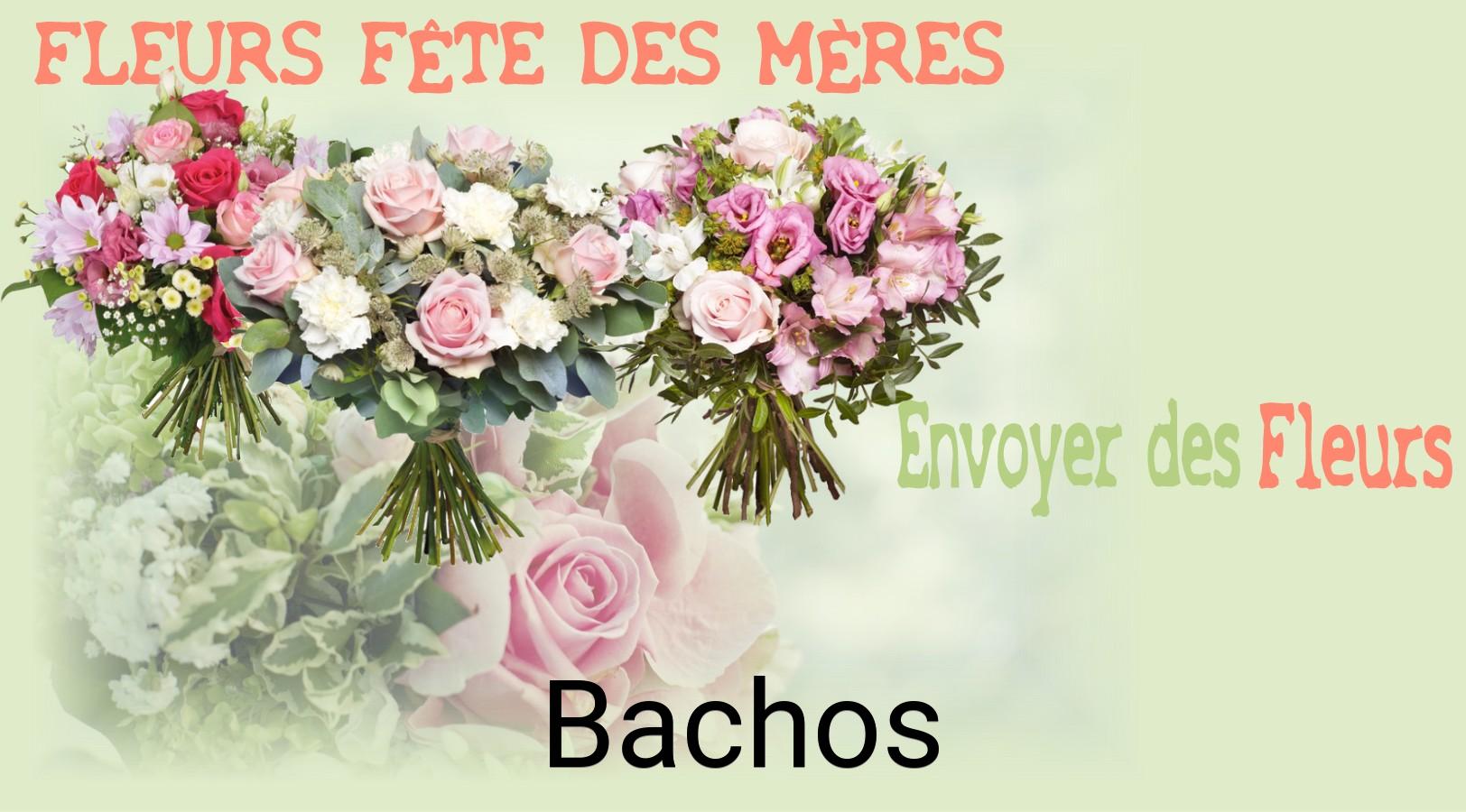 Bouquet de Fête des Mères livré à Bachos